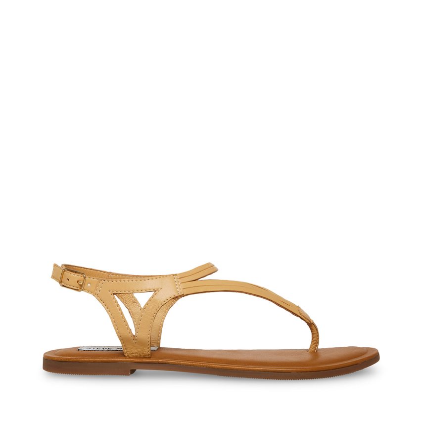 Sandalias Planas Steve Madden Sydney Mujer Beige | ES OX91E6